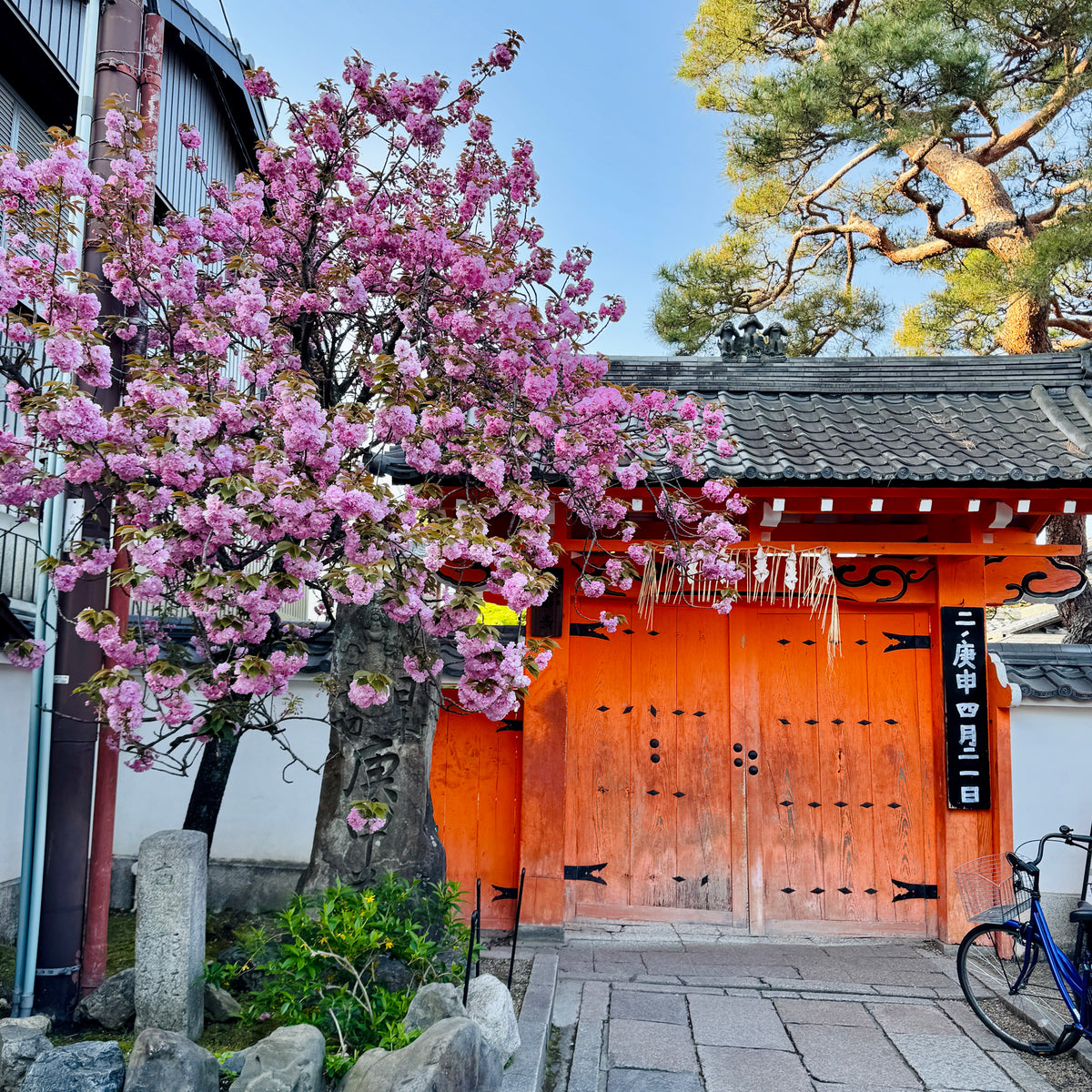 TEXTILE TOUR: Kyoto Craft & Quilting Tour • November 2026